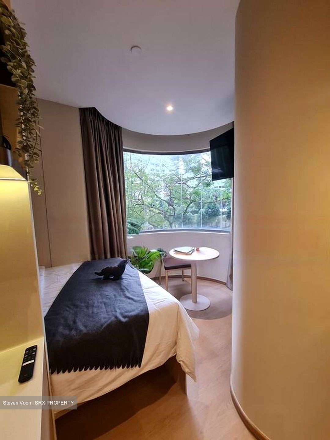 Mount Elizabeth Link (D9), Apartment #513878751